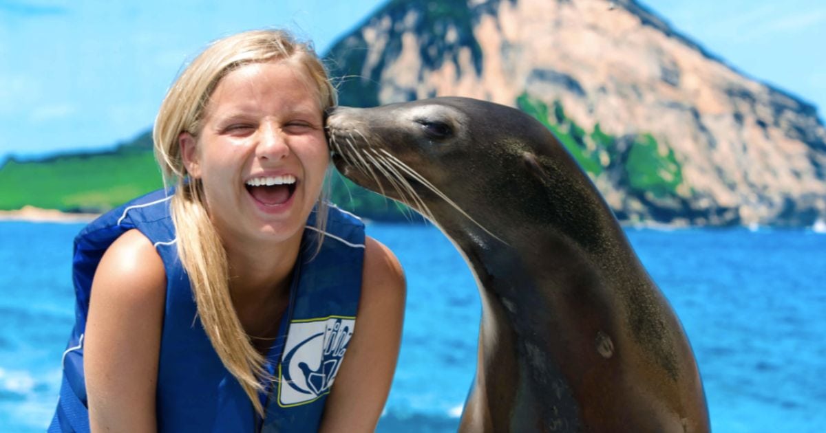 sea lion kissing a girl at sea life oahu, hawaii.