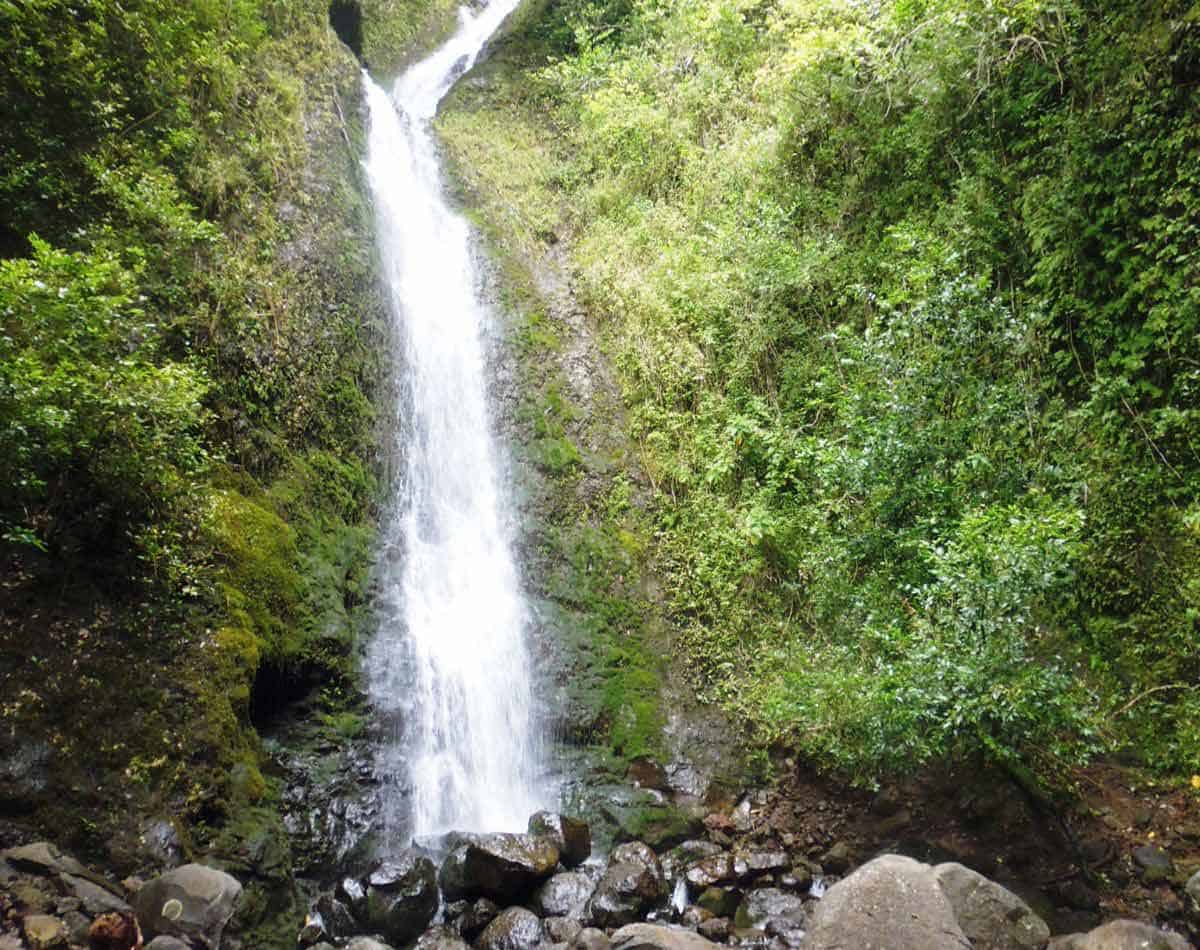 lulumahu falls trail.