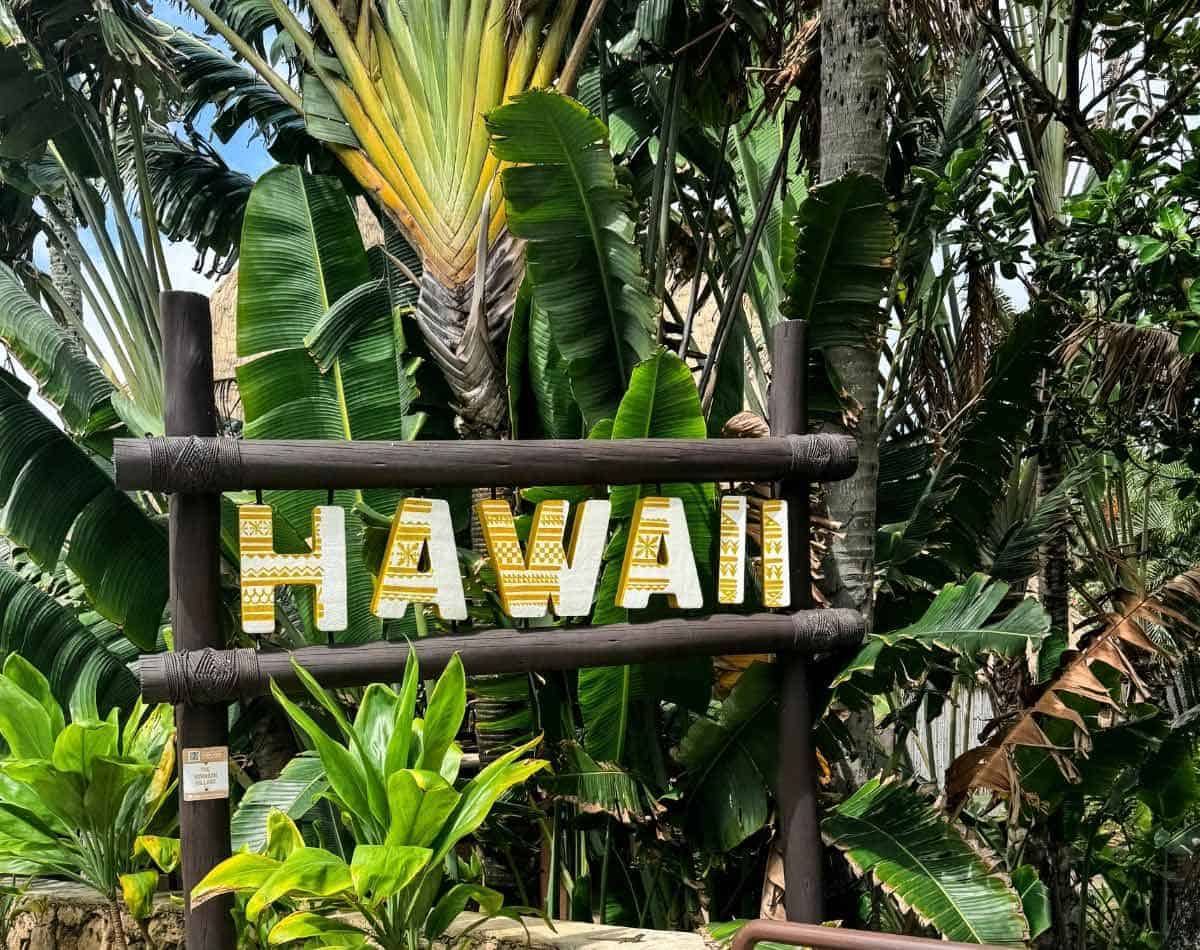 Hawaii sign in the jungle.