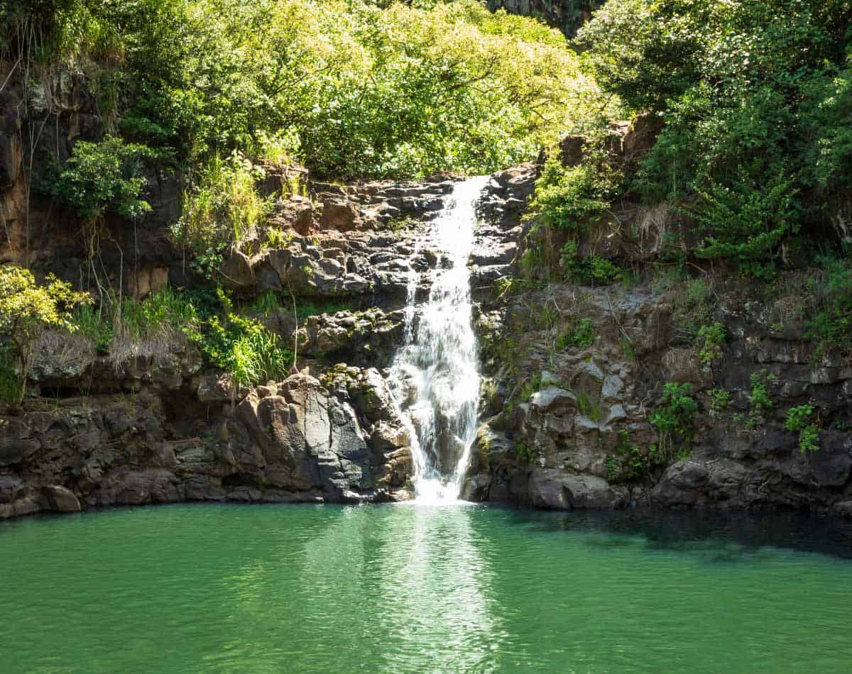 waimea falls waterfall in oahu hawaii.