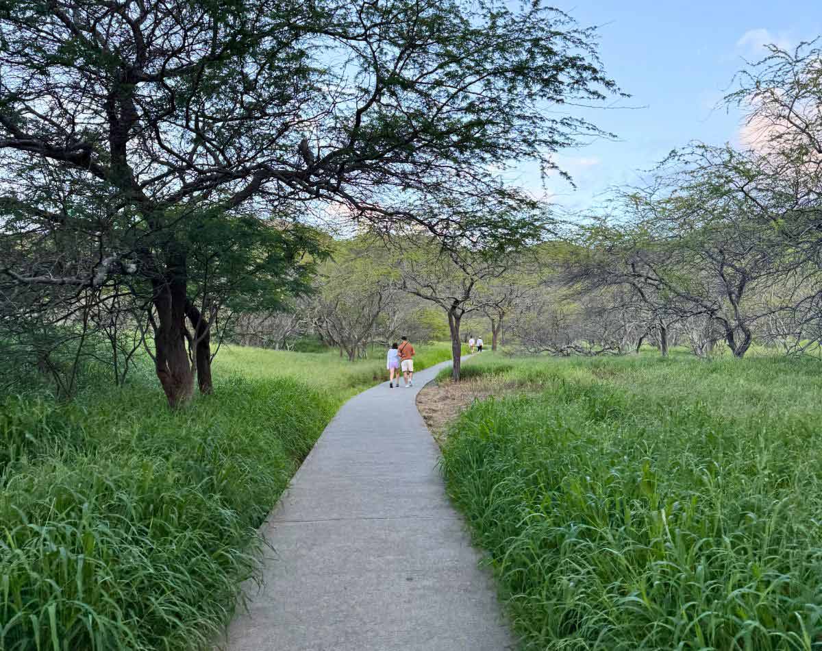 starting route for Diamond Head Crater on Oahu, Hawaii.