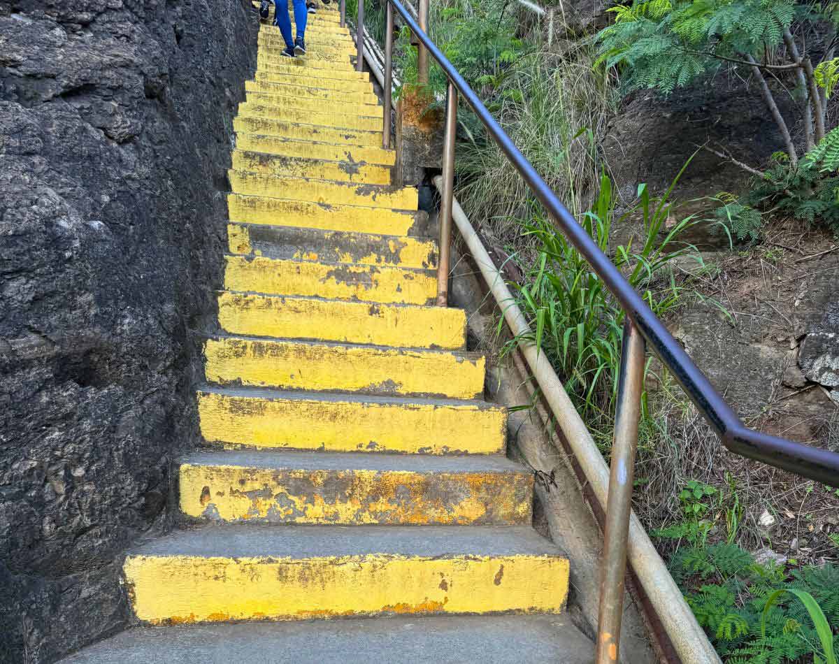 steep yellow steps on the Diamond Head Summit Trail.